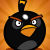 Profile picture of angrybird