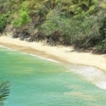 Profile picture of sayyid