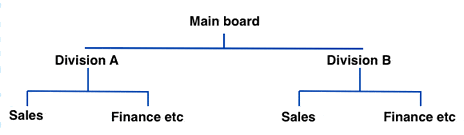 divisional_organisation