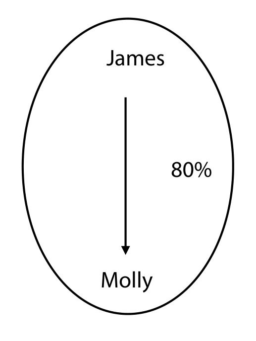 W1 Group structure: James and Molly (80%)