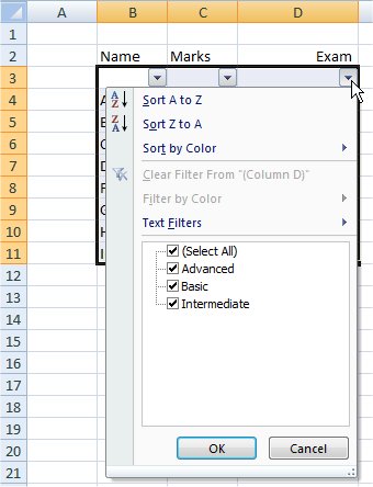 Filter drop-down lists turned on: the Exam column's list shows Sort A to Z / Z to A and tick boxes for Select All, Advanced, Basic and Intermediate