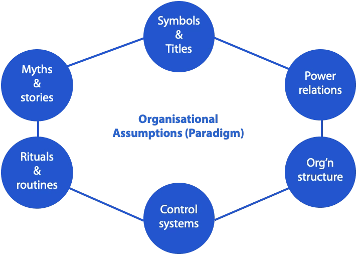 cultural web