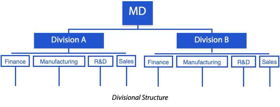 Divisional structure