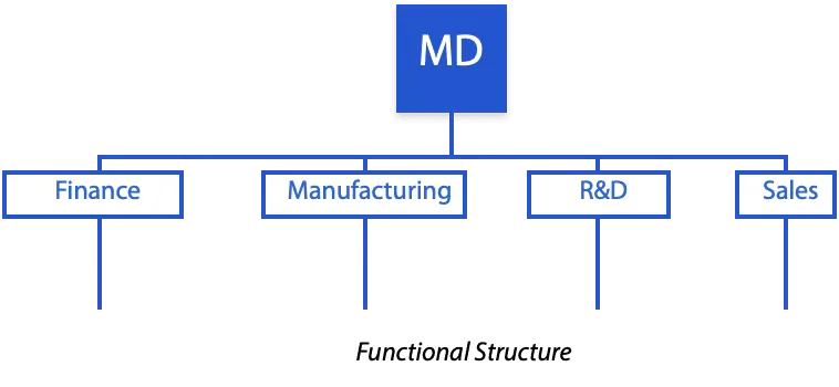Functional structure